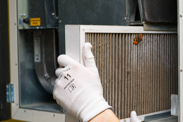 Best Affordable Air Duct Cleaning  in Ludington, MI