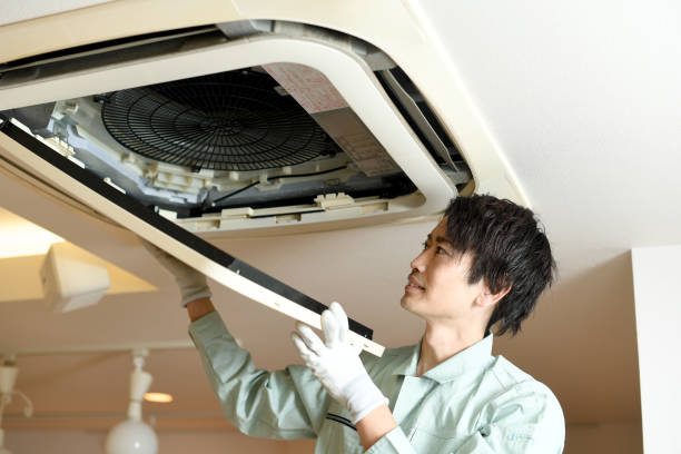 Best Home Air Vent Cleaning  in Ludington, MI