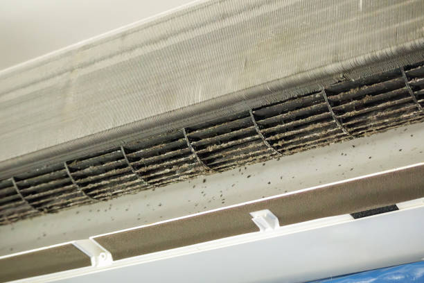 Best HVAC System Cleaning  in Ludington, MI
