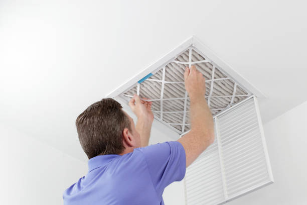 Best Dryer Vent Cleaning Services  in Ludington, MI